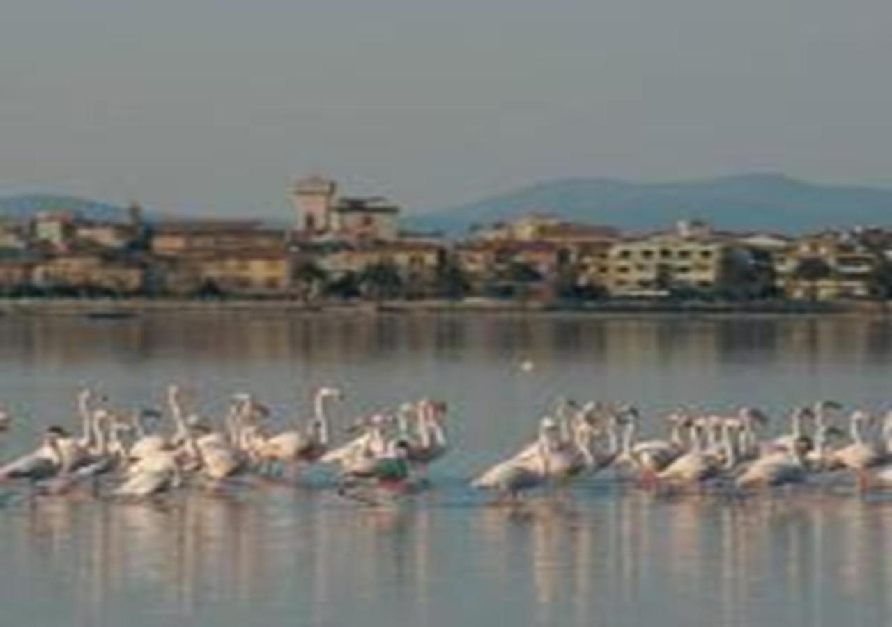 App - Il Fenicottero Con Parcheggio Gratuito Ad Orbetello Villa Buitenkant foto
