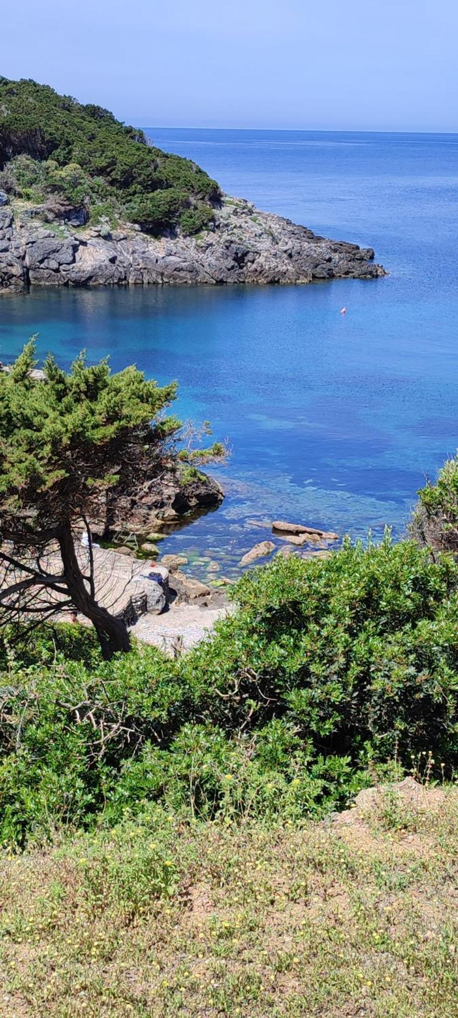 App - Il Fenicottero Con Parcheggio Gratuito Ad Orbetello Villa Buitenkant foto